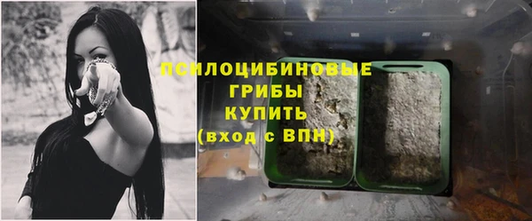твердый Бронницы